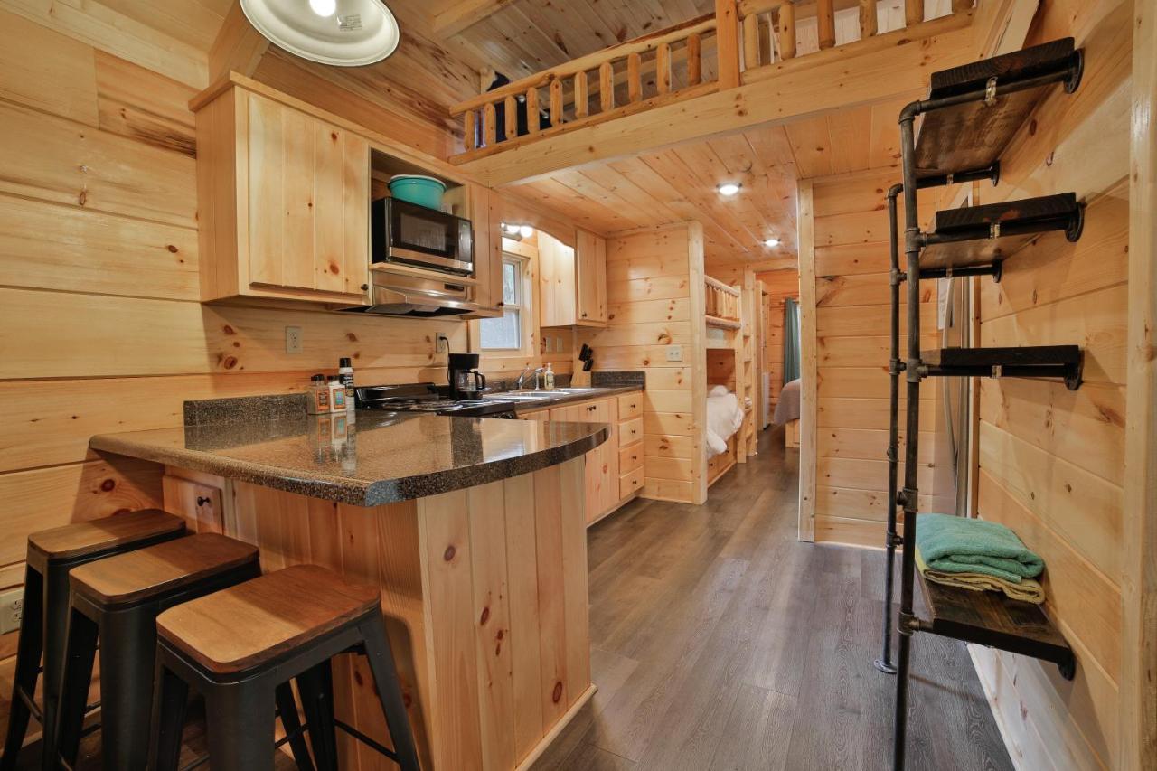 Thomas Cabin Forest Tiny Cabin With Hot Tub Чаттануґа Екстер'єр фото